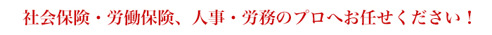 社会保険・労働保険、人事・労務のプロへお任せください！