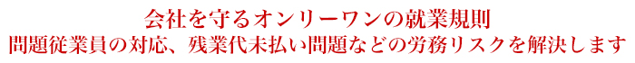 会社を守るオンリーワンの就業規則　問題従業員の対応、残業代未払い問題などの労務リスクを解決します